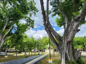 Municipal de Dajabon Park