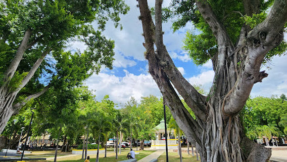 Municipal de Dajabon Park