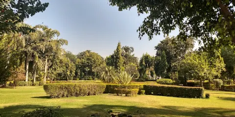 Nirvana Cafe Rooftop