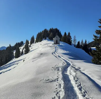菲斯特茲安德蓋