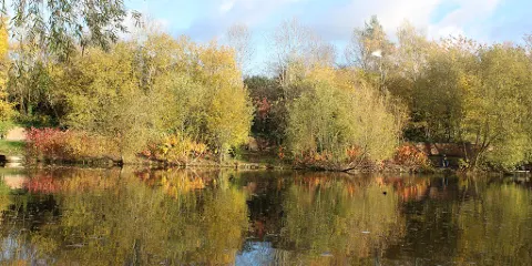 Westmorland Park