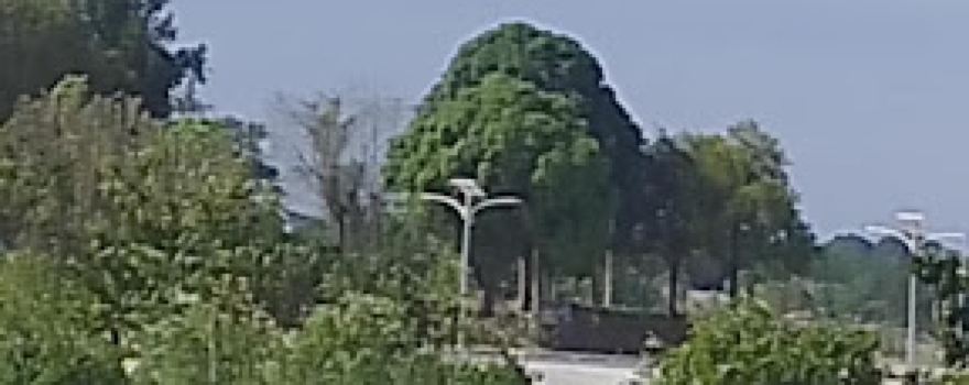 샌 마리노 서클 공원