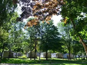 Camping Paradis Île du Pont