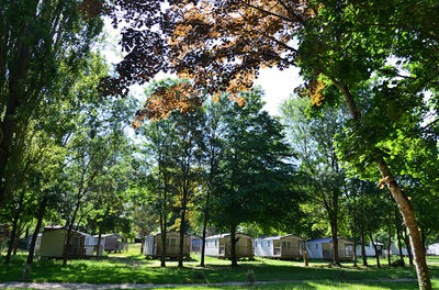 Camping Paradis Île du Pont
