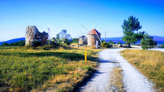 Museu Do Moinho Vitorino Nemésio
