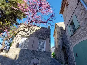 Cité Médiévale