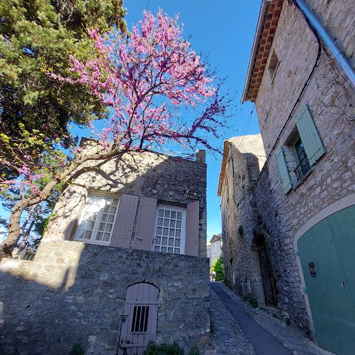 Cité Médiévale