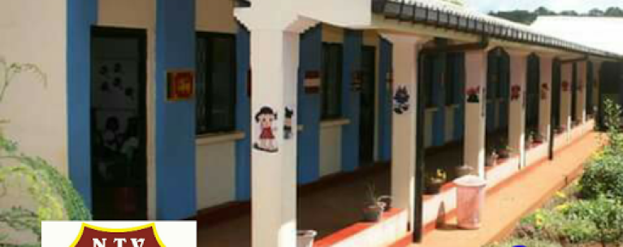 Naula Public ground
