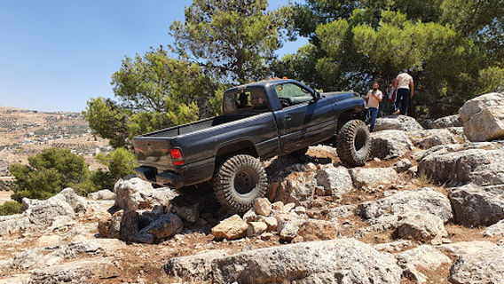 Wasfi AlTal Forest Reserve