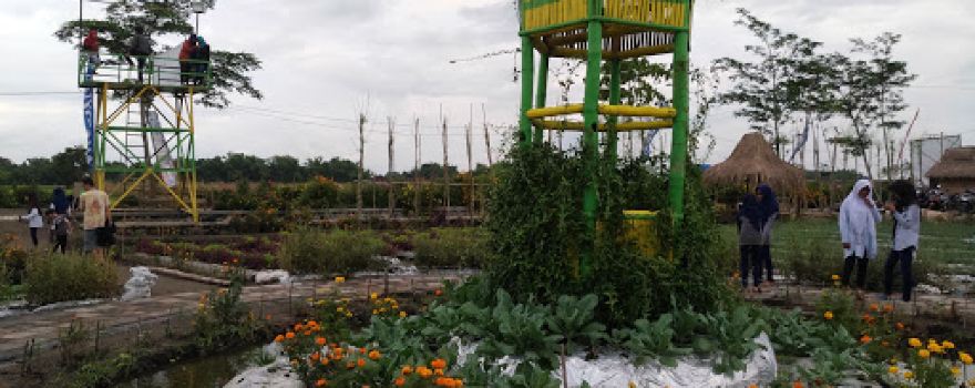 Taman Edukasi Banjarsari Agro Community (BAC)