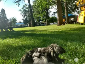 Centennial Park
