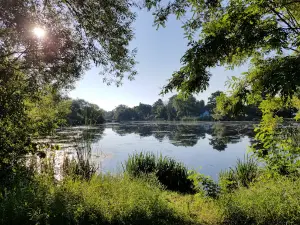 Antigo Lake RV Campground