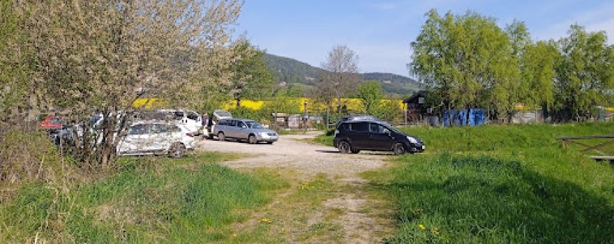 Ribnik Univerze Pivola