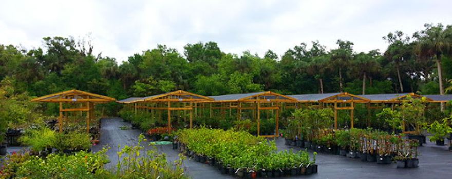 Top Tropicals Garden Center