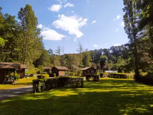 Camping de la Vallée