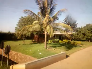 URA Customs Yard Garden