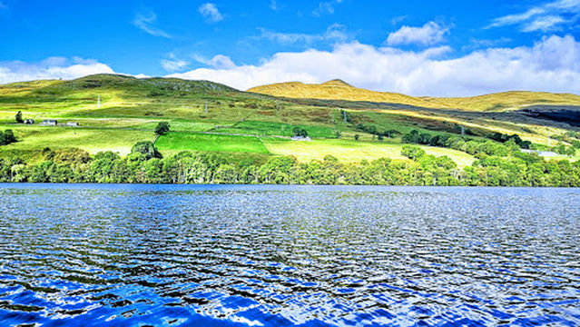 Loch Tay Safaris