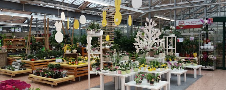 Dehner Garten-Center