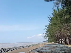 Wisata Pantai Cemara Indah ( Pulau Salak )