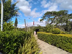 "Las Madres" Natural Park