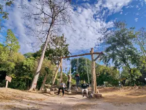 Pha Mok Miwai
