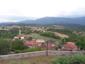 Araç Şehitliği