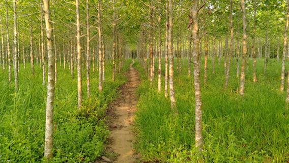 trung tâm sinh hoạt văn hóa truyền thống thanh thiếu nhi tỉnh đồng nai