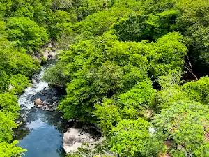 Rincon de la Vieja Tours and Transportation