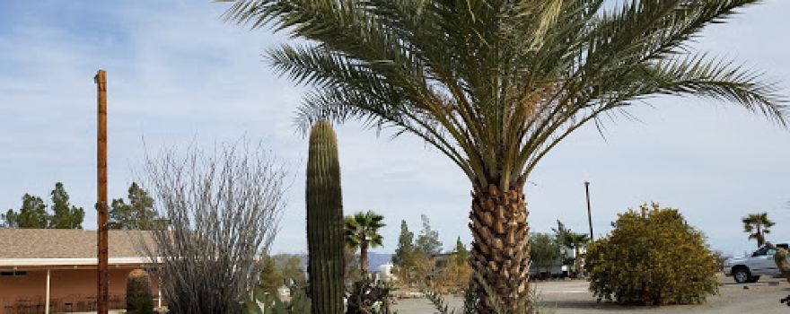 Morenga Palms RV Park