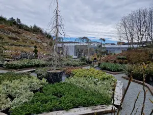 Spanne Plantesalg