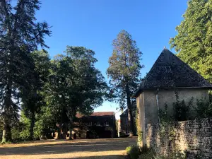Chateau D'Arthel
