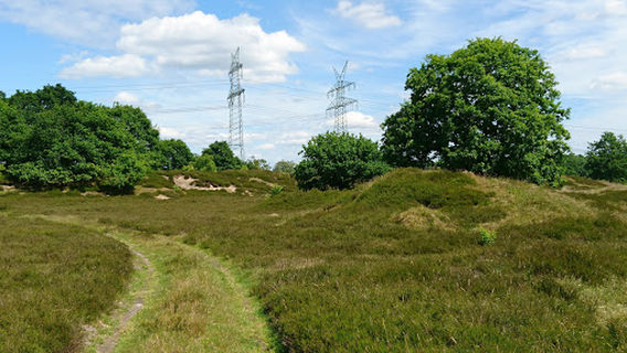 Fussballgolf Sorgwohld