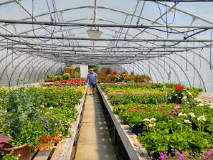 Canada Green Nursery & Garden Center