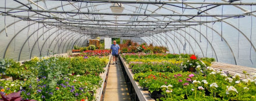 Canada Green Nursery & Garden Center