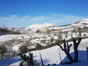 Bevaio della SS.Trinità