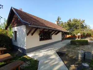 6 puttonyos Borfalu