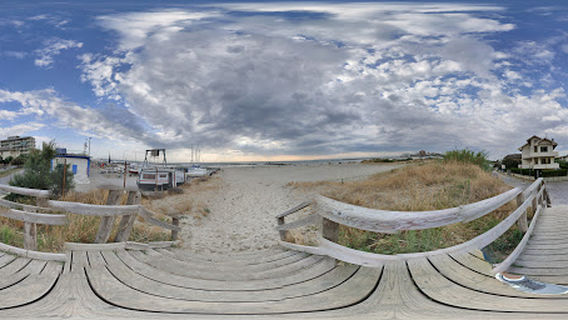 Spiaggia libera dog-friendly di Lido di Savio