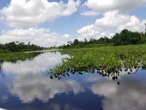 Ciénagas De Juan Manuel National Park