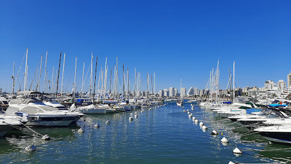 Puerto de punta del este