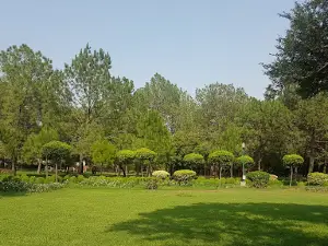 Buddha Garden - Latur District, Maharashtra, India