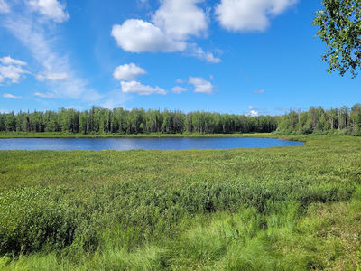 Newman Memorial Park