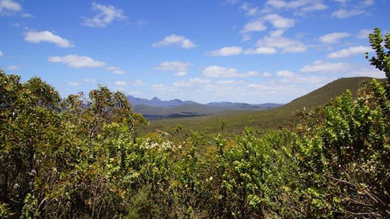 Western Lookout