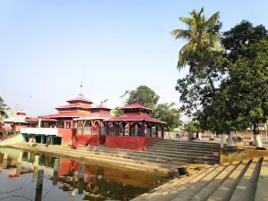 Sakhada Bhagwati Temple ( Chinanmasta Bhagawati temple)