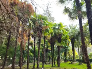 Park Gagra
