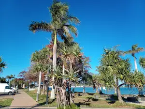 Bowen Jetty