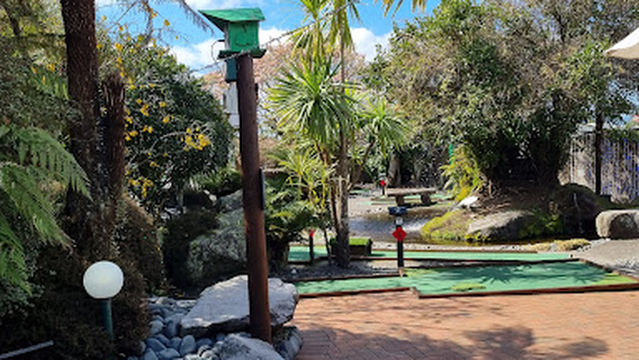 Mini Golf Rotorua with Rabbits