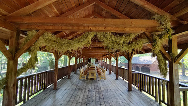 Pokazowa Zagroda Żubrów w Zabytkowym Parku Pszczyńskim