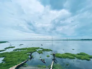 Surha tal