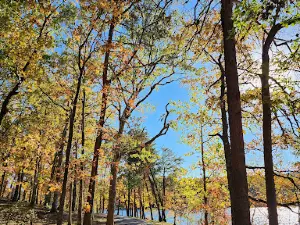 Georgia Mountain Fair Inc