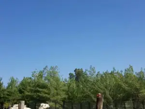 Kurtalan Belediyesi Berfin Yaşam Parkı